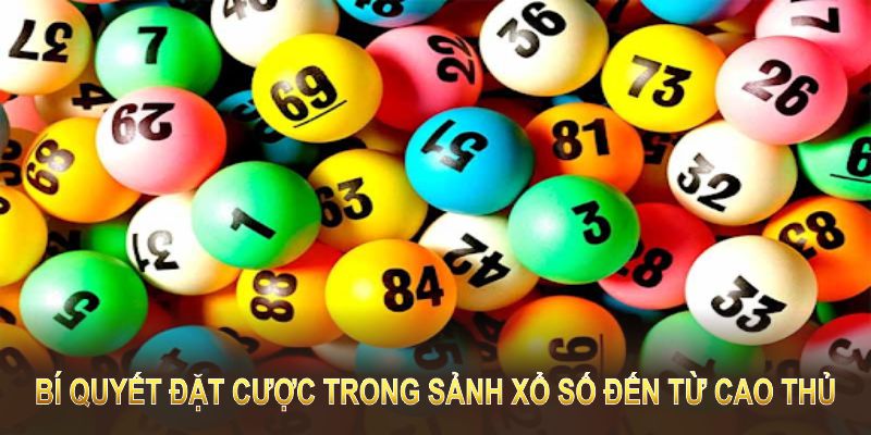 Những bí quyết đặt cược trong sảnh xổ số đến từ cao thủ