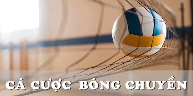 cá cược bóng chuyền 789bet