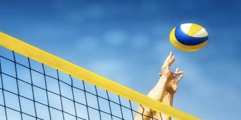 Quản lý vốn tốt sẽ giúp việc chơi cược bóng chuyền là một kênh đầu tư hiệu quả