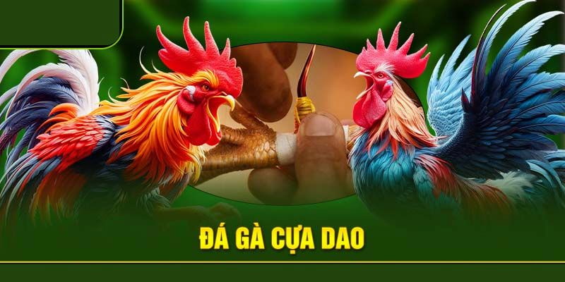 đá gà cựa dao