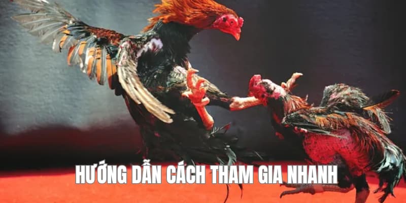 Hướng dẫn tham gia nhanh
