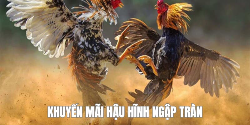 Khuyến mãi cực hậu hĩnh