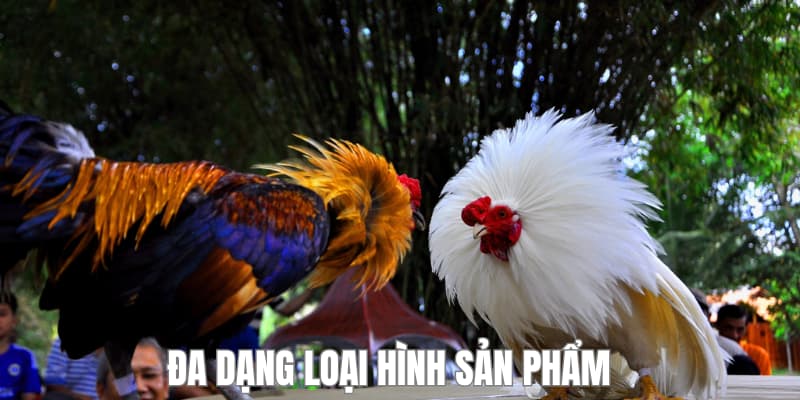 Sản phẩm số lượng đa dạng