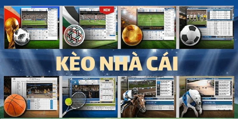 kèo nhà cái 789bet