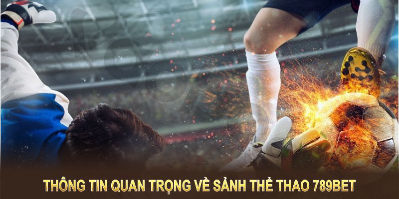 Thông tin quan trọng về sảnh thể thao người chơi cần biết